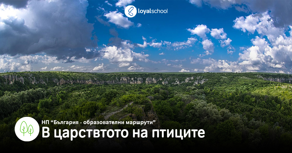 7. В царството на птиците – Русенски лом