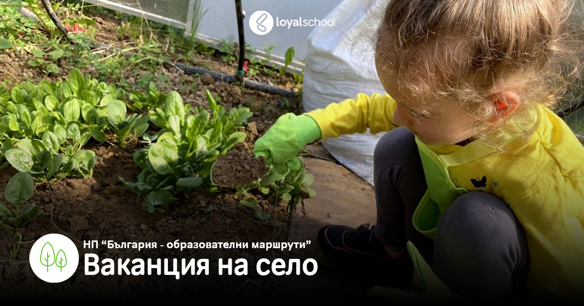 8. Ваканция на село